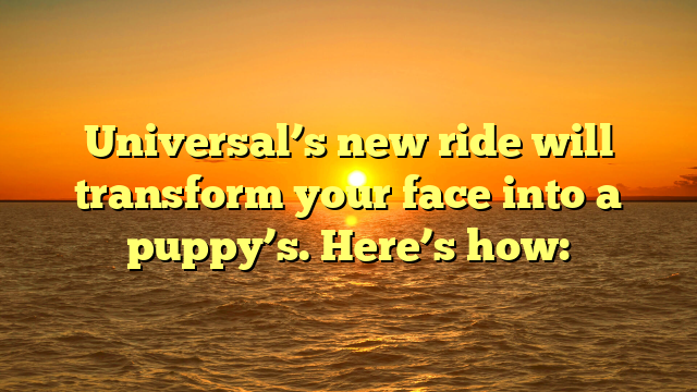 Universal’s new ride will transform your face into a puppy’s. Here’s how: 